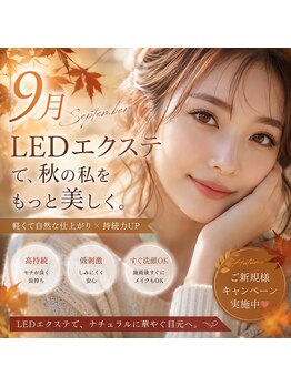 マーヴェラス(Marvelous)の写真/キレイが、もっと長く続くLEDエクステ。仕上がりも持続力もワンランク上のエクステ