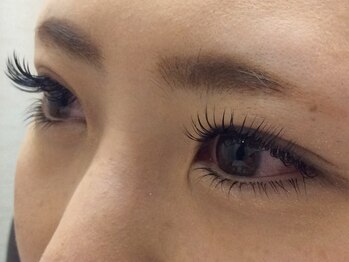 シュシュ(chou chou)/セーブル160本/下まつ毛50本