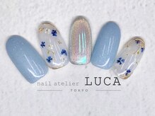 ネイルアトリエルカ(nail atelier LUCA)/W-2 マグネットオーロラネイル