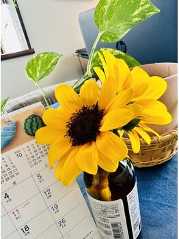 エスピー フィジカルケアルーム(SP.Physical Care Room)/能古島のヒマワリ（小）