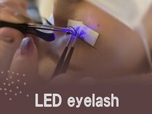 トゥルーネイル アンド アイ 池袋店(TRU NAIL & EYE)/LEDマツエク＊フラットラッシュ