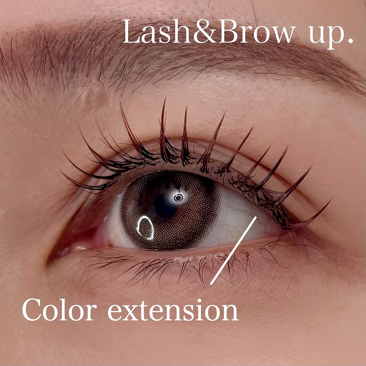 ラッシュアンドブロウ アップ(up.)｜ホットペッパービューティー