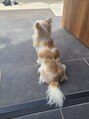 ノエッシュ(NOESH)&nbsp;まだかな？