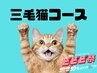 【ビビビ祭！ポイント利用に◎】よもぎ蒸し回数券　　30分×3回　9,900円