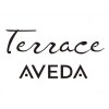 テラスアヴェダ 心斎橋店(Terrace AVEDA)ロゴ