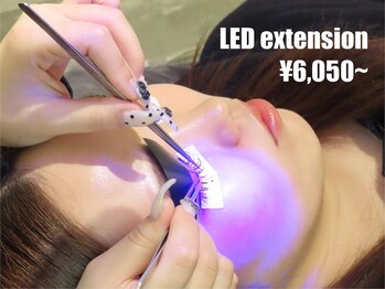 ノラ シブヤ(NORA SHIBUYA)