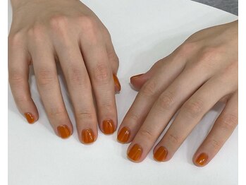 ラピシア(Rapicia)/