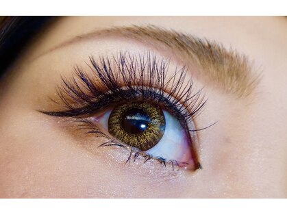 シャイニーラッシュ(shiny lash)の写真