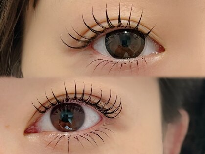 トワン(ToiEN)の写真