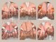 ボタネイル 近鉄八尾駅前店(BOTA NAIL)の写真