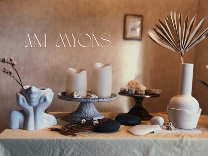 アントミョンス(Ant Myons)の写真