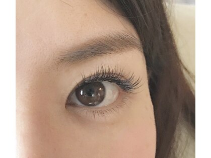 グロリア(Gloria)の写真