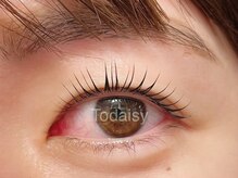 トゥデイジー(Todaisy)/