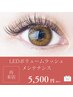 【リピーター様限定】LEDボリュームラッシュメンテナンス《4週間以内限定》