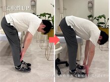 アロエ鍼灸整体院/柔軟性UP