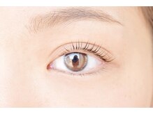 ティーラッシュ(T lash)/【パリジェンヌラッシュリフト】