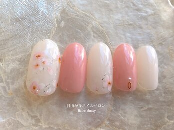 ブルーデイジー(Blue daisy)/