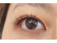 ペルシャ(Persian)/フラットラッシュ（担当：宮井）