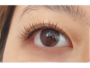 ペルシャ(Persian)/フラットラッシュ（担当：宮井）