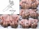 ミュー ネイル(mieux nail)の写真