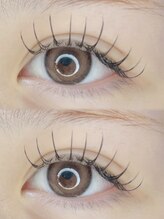 ハウオリ(Hau'oli)/フラットラッシュ120本