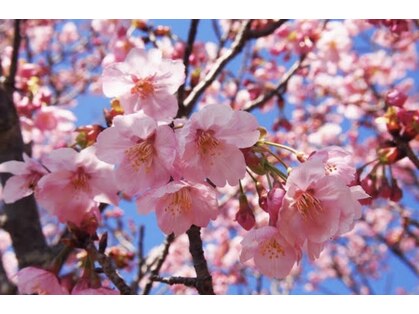 ラクス 柏店(楽es)の写真