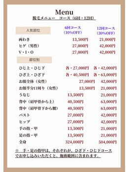 トオチカヘルスケア/脱毛コース　料金表
