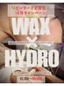 【リピーター様限定】毛穴ハイドロ(顔全体)&フェイスワックス(鼻全体)¥6,050