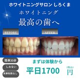 シロクマ(siroQMa)