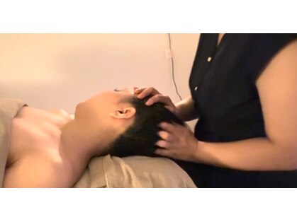 アカシア(acacia.)の写真