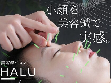 ハル(HALU)の写真