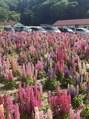 桜リラクゼーション 水木
