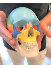 ろっかん塾/顔は頭蓋骨の一部です