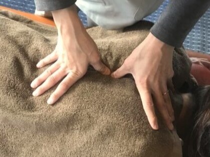 うさぎ鍼灸院 エバーグリーン大川店の写真