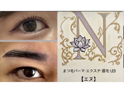 エヌの写真