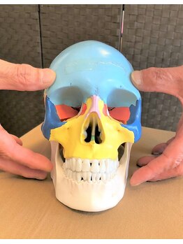 ろっかん塾/頭蓋骨で顔を整えます
