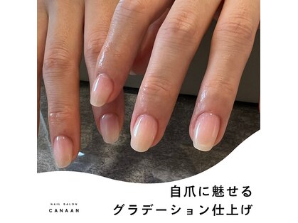 カナン(CANAAN)の写真