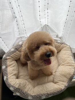 いわながスポーツ整体院/