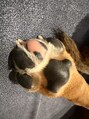 イエス 久留米店(YES)&nbsp;愛犬3匹と住んでます>∀<癒しです☆