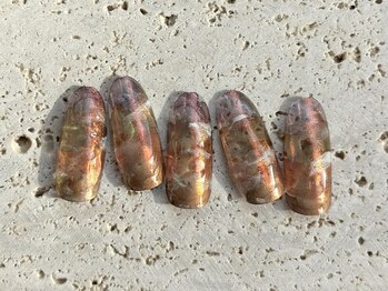 マスターネイルズ(MASTER NAILS)/trend design 2411[定額]