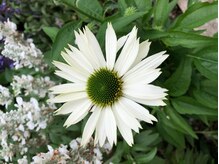 リラクゼーション整体 りめいくの雰囲気（「横向きの施術」首～肩甲骨～腰を念入りにほぐします。）