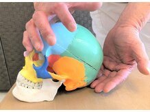 ろっかん塾/頭蓋骨のズレが頭を膨らませます