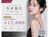 レディース★全身脱毛(顔無・VIO無)¥14,300→¥11,000