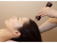 プルームドゥクレ(plume de cle')/