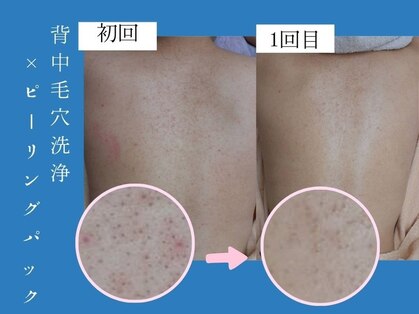 シェリー(Cheri)の写真