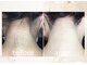 シエル(Ciel)の写真