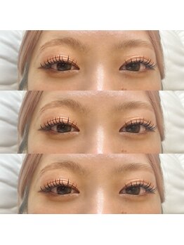 ステラ(STELLA)/付け足し120本 合計180本