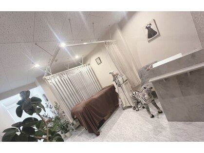 レイブ(rave)の写真