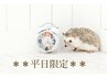 【学割U24/平日限定】★ラッシュリフト(上) ★上下に変更＋￥1500