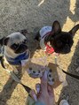 ルアナ(LUANA)&nbsp;2025年は愛犬と神社でおみくじ引きました(^^)v